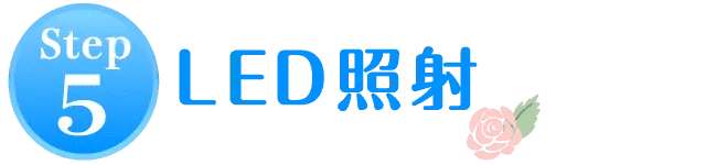 STEP5.LED照射