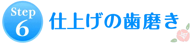 STEP6.歯磨き