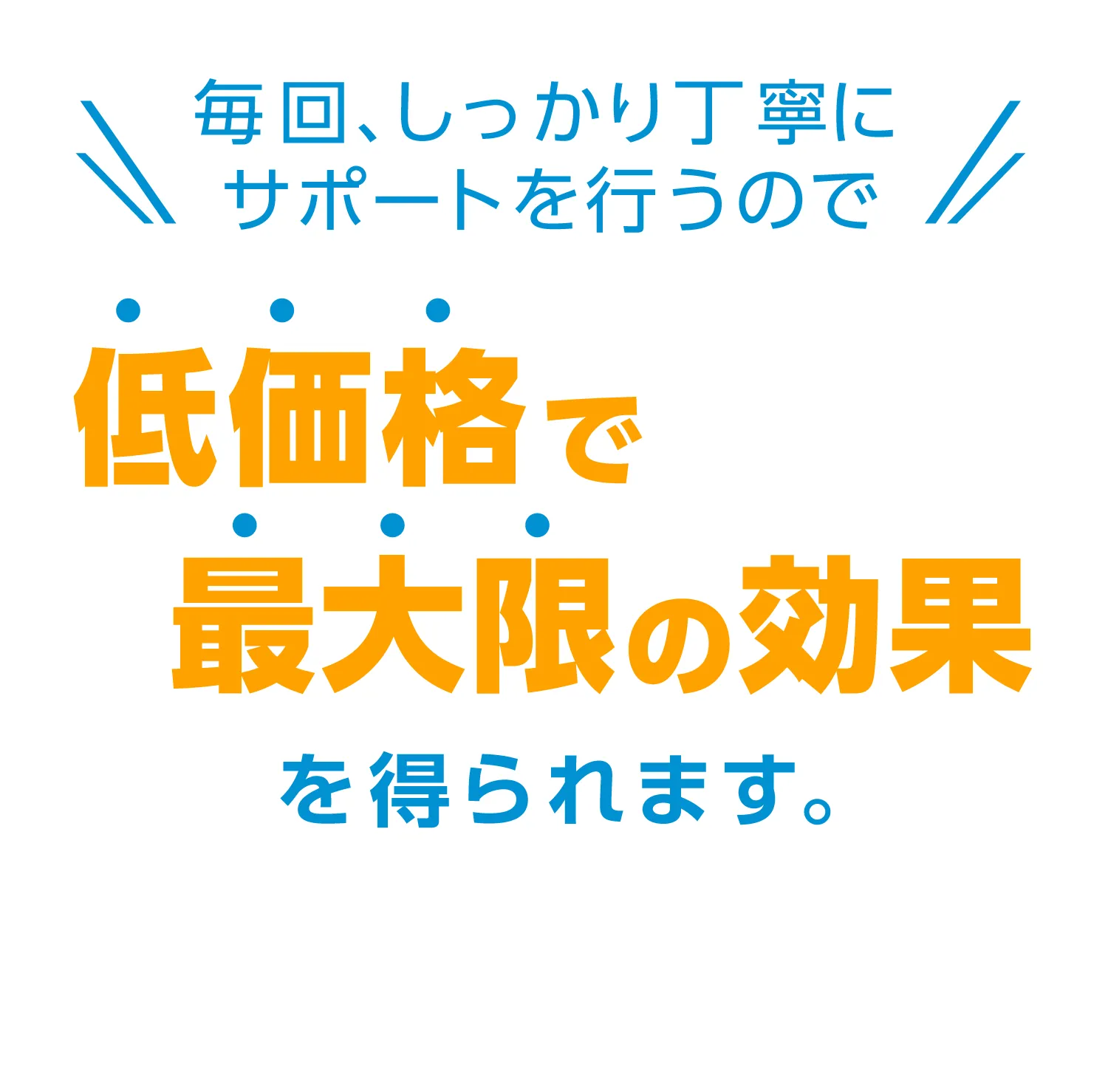 毎回、しっかり丁寧にサポートを行うので、低価格で最大限の効果を得られます。