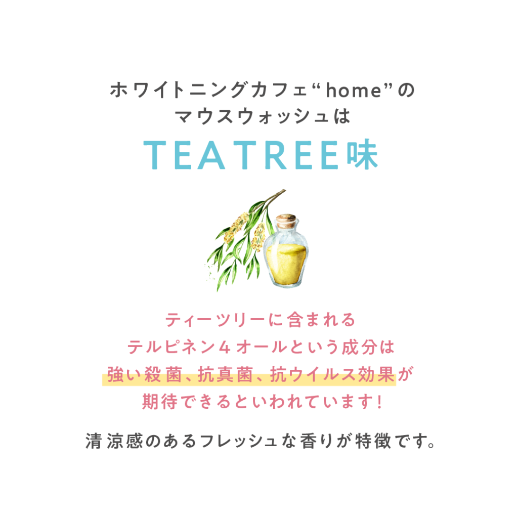 TEATREE味