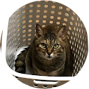 クラミ profile picture