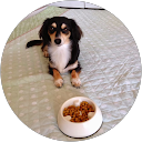 大西良平 profile picture