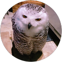 MIHO O. profile picture