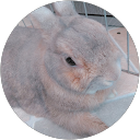 坂下絢音 profile picture