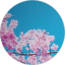 なつなつ profile picture