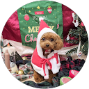 あき profile picture