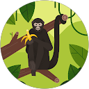 いかれ帽子屋 profile picture