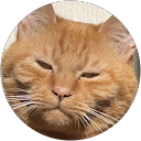 さんごらり profile picture