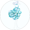 雪だるま profile picture