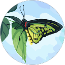 あち profile picture