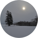 平成たぬき顔ぽんぽこ profile picture