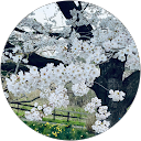 みっこ3434 profile picture