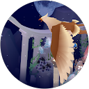 かしねこ profile picture