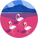 ふたみん profile picture