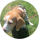 えのん profile picture