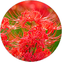 井ノ上淳 profile picture