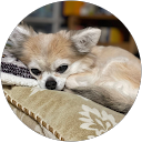 ri s profile picture