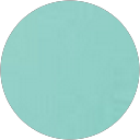 Rina S profile picture