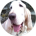 kk kanako profile picture