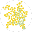 ri ri profile picture