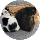 87 hanana profile picture