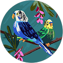 KOJI profile picture