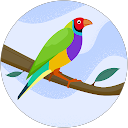 gj de profile picture