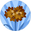 田中心愛 profile picture