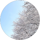 はるきち profile picture