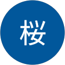 髙橋桜 profile picture