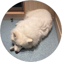 ゆ profile picture