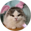 なつみ profile picture