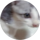 な profile picture