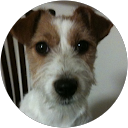 E S profile picture