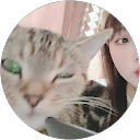 安 profile picture