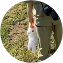 るる profile picture