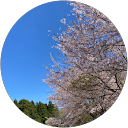 ポテト profile picture