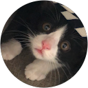 Atsumi Someki profile picture