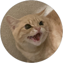 諏訪愛彩利 profile picture