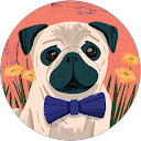 NT profile picture