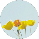 まる profile picture