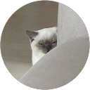 NN profile picture