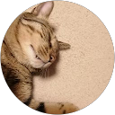 娘丼 profile picture