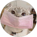 やわらか profile picture